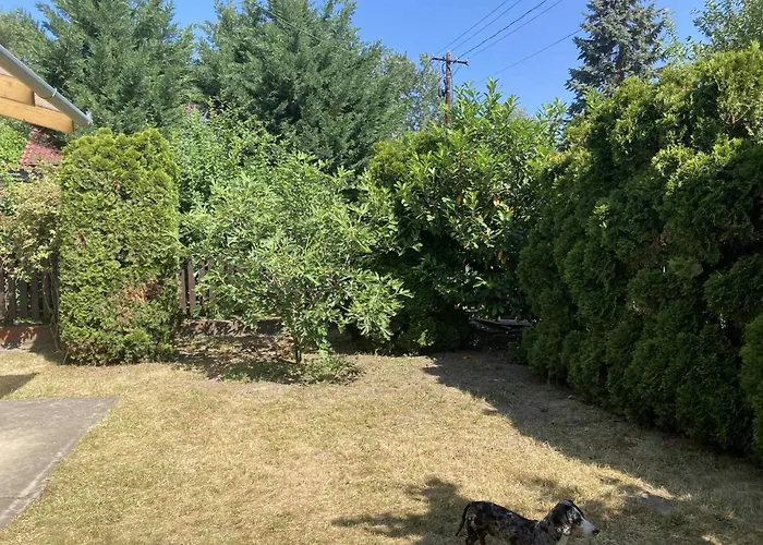 Dombi-lak Tiszakecske